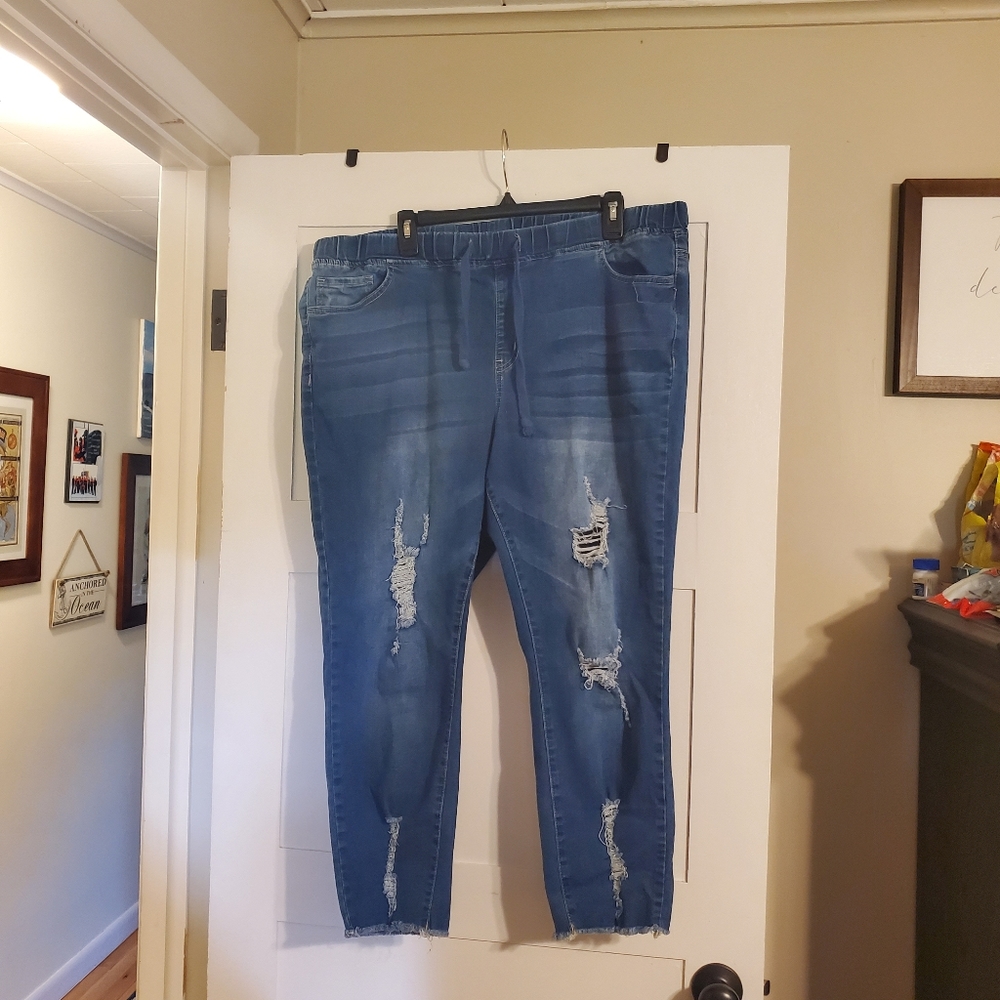 YMI Distressed Jeans